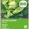Intratuin Kopfsalat (Lactuca sativa 'Hilde') (BIO) Samen| Gemüsesamen|Saatgut