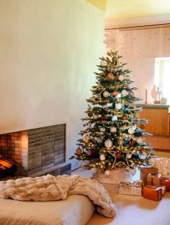 Intratuin Korb für Weihnachtsbaum Fleur naturell D 57 H 26 cm| Weihnachtsbaumdecken & -Körbe