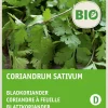 Intratuin Koriander (Coriandrum sativum) (BIO) Samen| Kräutersamen|Saatgut