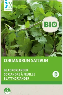 Intratuin Koriander (Coriandrum sativum) (BIO) Samen| Kräutersamen|Saatgut