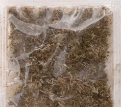 Intratuin Kratzkarton Welle 53 x 20 x 10 cm| Kratzbäume & -Möbel