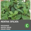Intratuin Krause Minze (Mentha spicata) Samen| Kräutersamen|Saatgut
