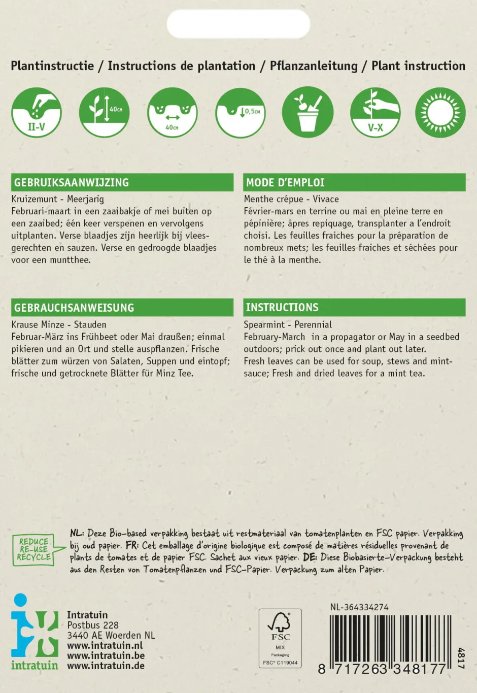 Intratuin Krause Minze (Mentha spicata) Samen| Kräutersamen|Saatgut