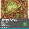 Intratuin Krauser Kopfsalat (Lactuca sativa 'Lollo Rossa') Samen| Gemüsesamen|Saatgut