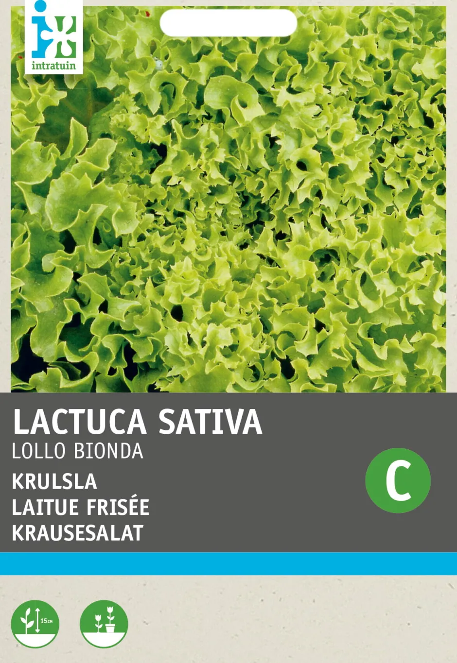 Intratuin Krauser Kopfsalat (Lactuca sativa 'Lollo Bionda') Samen| Gemüsesamen|Saatgut