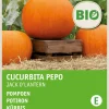 Intratuin Kürbis (Cucurbita 'Jack O'Lantern') (BIO) Samen| Gemüsesamen|Saatgut