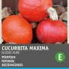 Intratuin Kürbis (Cucurbita maxima 'Uchiki Kuri') Samen| Gemüsesamen|Saatgut