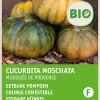 Intratuin Kürbis essbar (Cucurbita moschata 'Musquee de Procence') (BIO) Samen| Gemüsesamen|Saatgut
