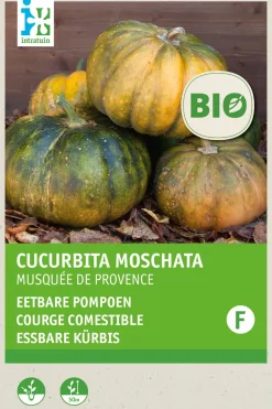 Intratuin Kürbis essbar (Cucurbita moschata 'Musquee de Procence') (BIO) Samen| Gemüsesamen|Saatgut