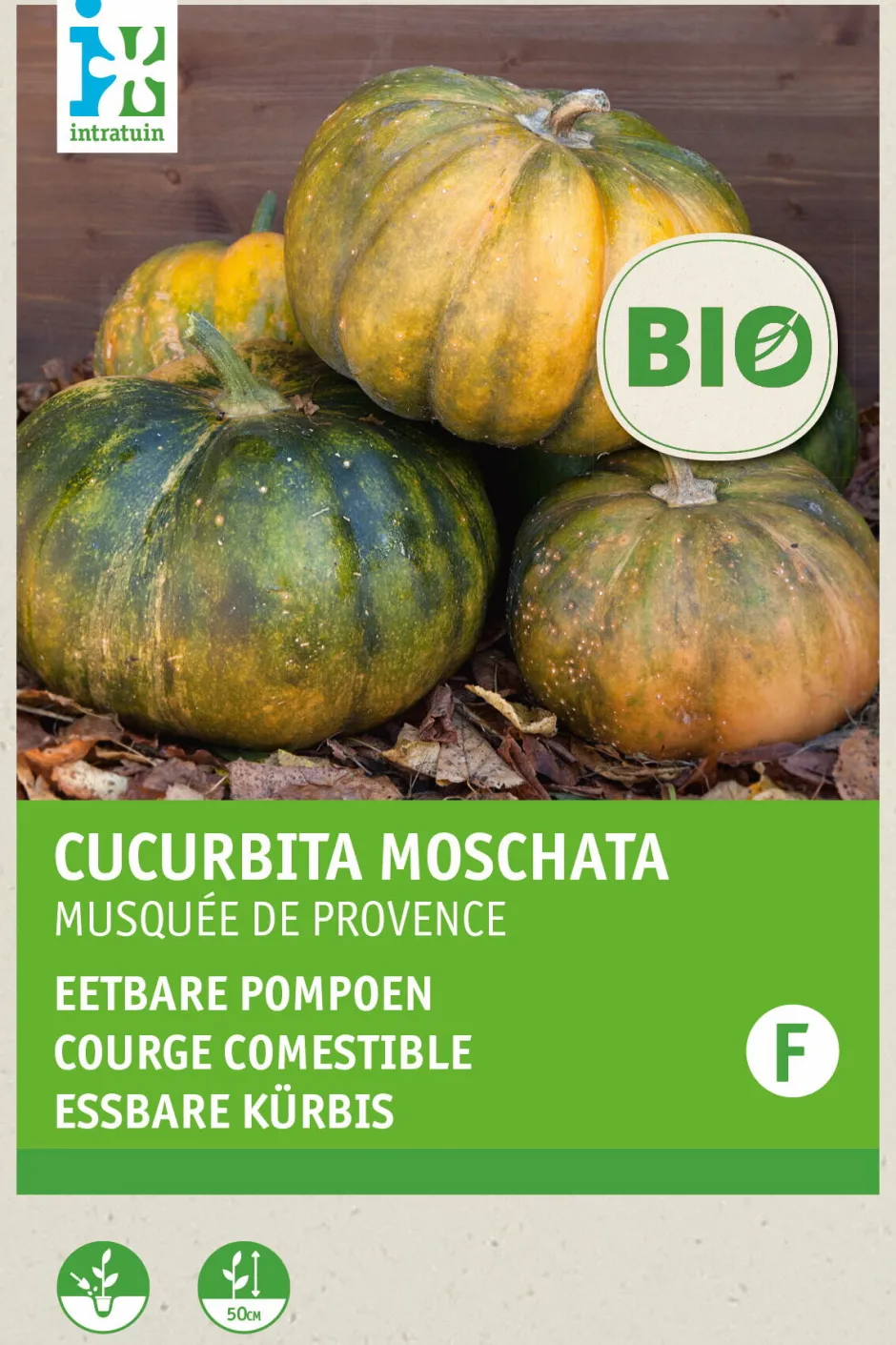 Intratuin Kürbis essbar (Cucurbita moschata 'Musquee de Procence') (BIO) Samen| Gemüsesamen|Saatgut