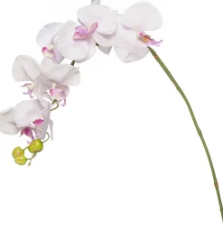 Intratuin Kunstblume Orchidee hellrosa H 100 cm| Kunstblumen