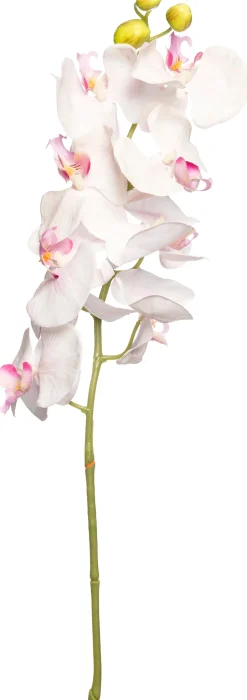 Intratuin Kunstblume Orchidee hellrosa H 100 cm| Kunstblumen
