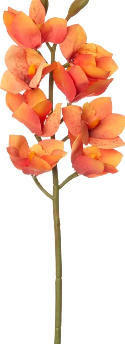 Intratuin Kunstblume Orchidee 68 cm orange| Kunstblumen