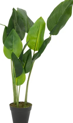 Intratuin Kunstpflanze Banane H 76 cm| Kunstpflanzen