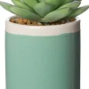 Intratuin Kunstpflanze Echiverie D 6 cm H 9 cm| Kunstpflanzen