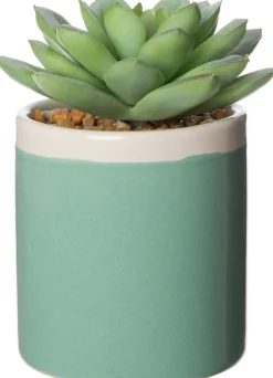 Intratuin Kunstpflanze Echiverie D 6 cm H 9 cm| Kunstpflanzen