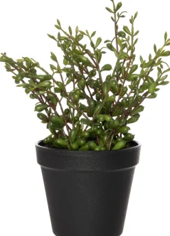 Intratuin Kunstpflanze Erbsenpflanze D 15 cm H 25 cm| Kunstpflanzen