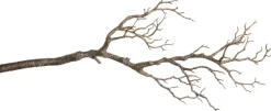 Intratuin Kunstzweig 68 cm braun| Künstliche Deko-Zweige