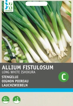 Intratuin Lauchzwiebel (Allium fistulosum 'Ishikura') Samen| Gemüsesamen|Saatgut