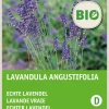 Intratuin Lavendel (Lavendula angustifolia) (BIO) Blumensamen| Saatgut|Blühende Pflanzen