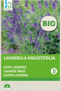 Intratuin Lavendel (Lavendula angustifolia) (BIO) Blumensamen| Saatgut|Blühende Pflanzen