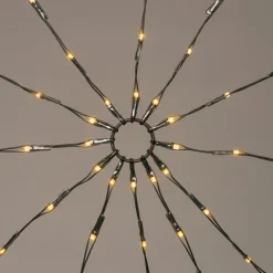 Intratuin Lichternetz für Buxus mit 120 LEDs warmweiß D 120 cm| Lichternetze