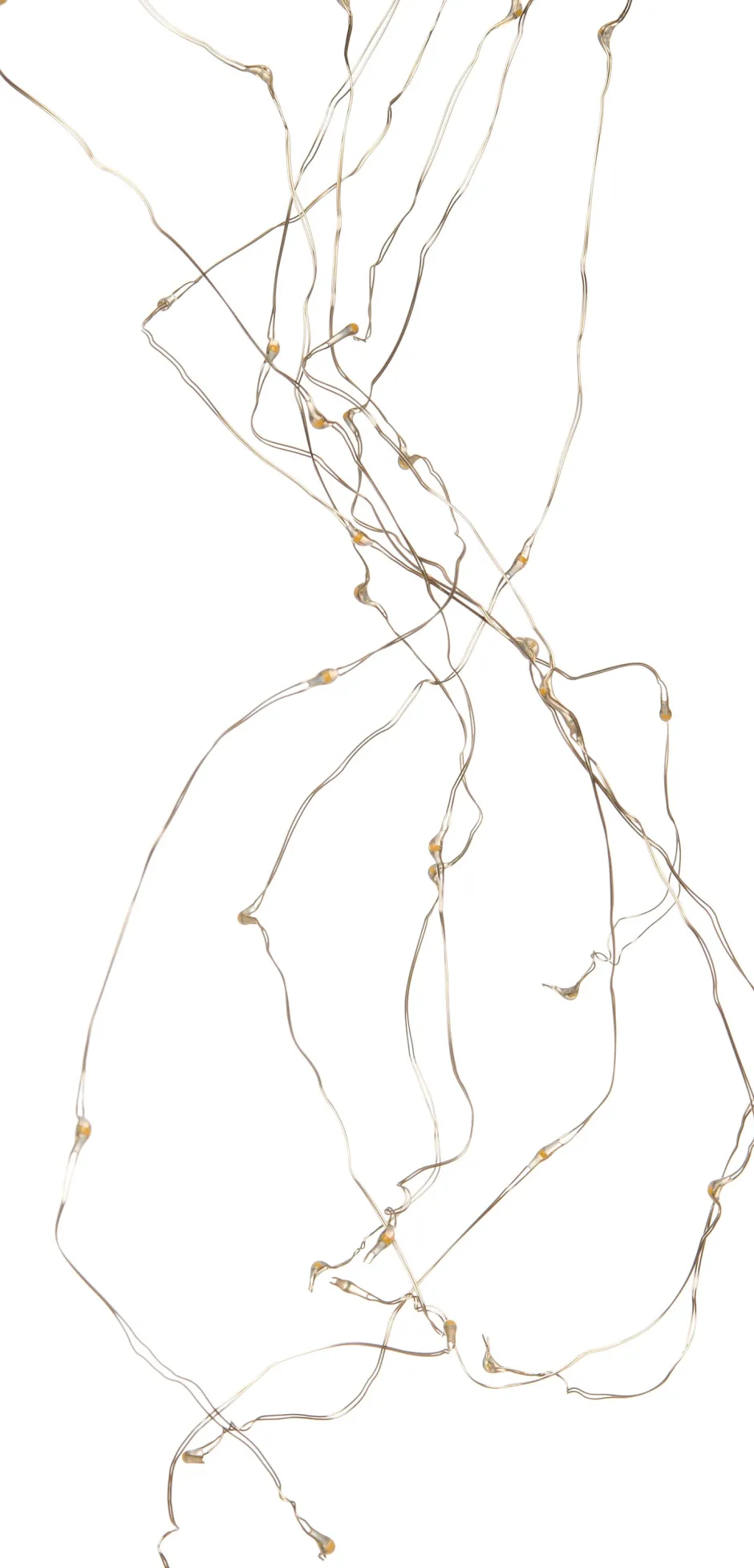 Intratuin Lichtkaskade für außen silber LED 8 x 4 m warmweiß| Lichtkaskaden