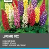 Intratuin Lupine (Lupinus) Blumenzwiebel-Mischung 10 St.| Sommer-Blüher|Blumenzwiebeln