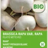 Intratuin Mairübe (Brassica rapa 'Platte Witte Mei') (BIO) Samen| Gemüsesamen|Saatgut