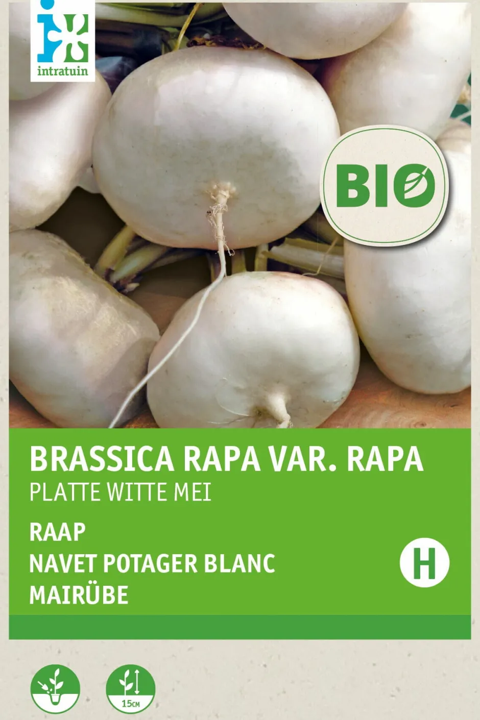 Intratuin Mairübe (Brassica rapa 'Platte Witte Mei') (BIO) Samen| Gemüsesamen|Saatgut