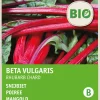 Intratuin Mangold (Beta vulgares 'Rhubard Chard') (BIO) Samen| Gemüsesamen|Saatgut