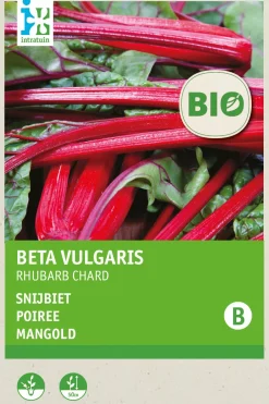 Intratuin Mangold (Beta vulgares 'Rhubard Chard') (BIO) Samen| Gemüsesamen|Saatgut