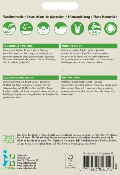 Intratuin Mangold (Beta vulgares 'Bright Lights') Samen| Gemüsesamen|Saatgut