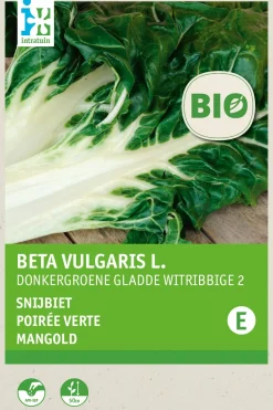 Intratuin Mangold (Beta vulgaris 'White Silver') (BIO) Samen| Gemüsesamen|Saatgut