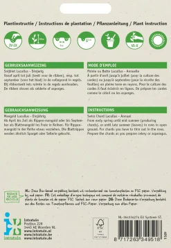 Intratuin Mangold goldgelb (Beta vulgaris 'Lucullus') Samen| Gemüsesamen|Saatgut