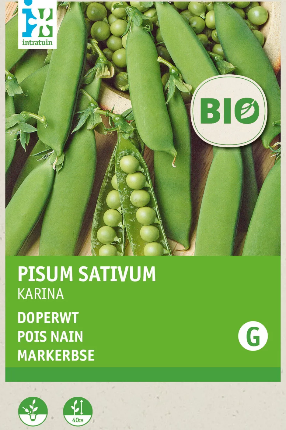 Intratuin Markerbsen (Pisum sativum 'Karina') (BIO) Samen| Gemüsesamen|Saatgut