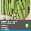 Intratuin Markerbsen (Pisum Sativum 'Wonder van Amerika') Samen| Gemüsesamen|Saatgut