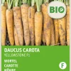 Intratuin Möhre (Daucus carota 'Yellowstone') (BIO) Samen| Gemüsesamen|Saatgut