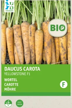 Intratuin Möhre (Daucus carota 'Yellowstone') (BIO) Samen| Gemüsesamen|Saatgut