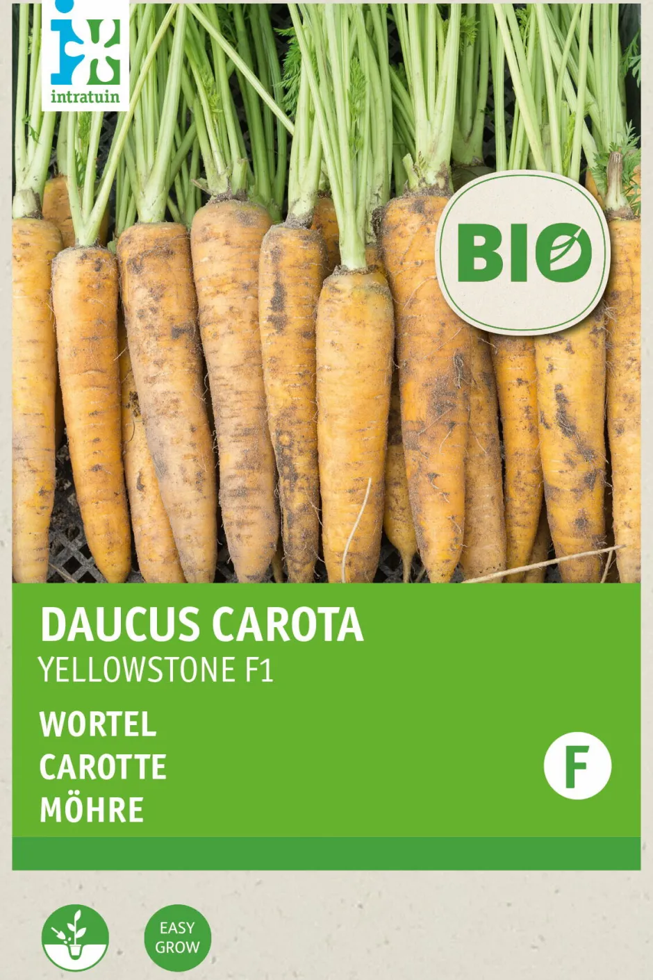 Intratuin Möhre (Daucus carota 'Yellowstone') (BIO) Samen| Gemüsesamen|Saatgut