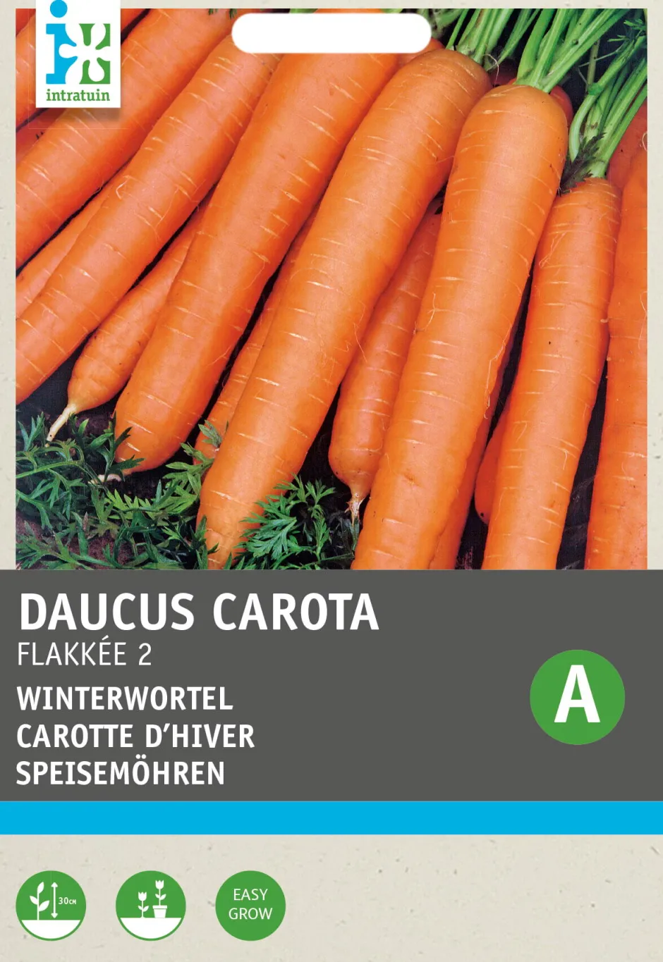 Intratuin Möhren (Daucus carota 'Rote Riesen') Samen| Gemüsesamen|Saatgut