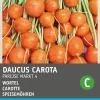 Intratuin Möhren rund (Daucus carota 'Pariser Markt') Samen| Gemüsesamen|Saatgut