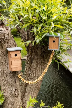 Intratuin Nistkasten für Sperling/Spatz 17 x 15 x 29,3 cm| Gartenvögel|Vogelhäuser & Nistkästen