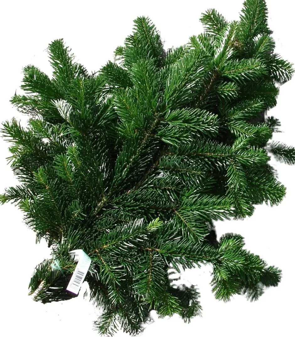 Intratuin Nordmann Tannenzweige 40 cm| Weihnachts- & Adventsdeko