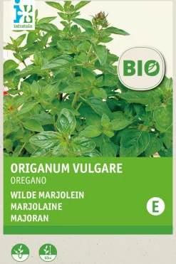 Intratuin Oregano (Origanum vulgare) (BIO) Samen| Kräutersamen|Saatgut