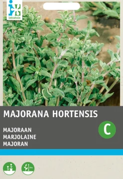 Intratuin Oregano (Origanum majorana) Samen| Kräutersamen|Saatgut