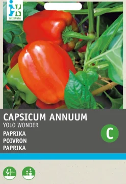 Intratuin Paprika (Capsicum annuum 'Yolo Wonder') Samen| Gemüsesamen|Saatgut