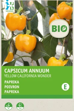 Intratuin Paprika (Capsicum annuum 'Yellow California Wonder') (BIO) Samen| Gemüsesamen|Saatgut