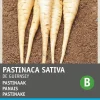 Intratuin Pastinake (Pastinaca sativa 'Von Guernsey') Samen| Gemüsesamen|Saatgut