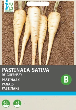 Intratuin Pastinake (Pastinaca sativa 'Von Guernsey') Samen| Gemüsesamen|Saatgut